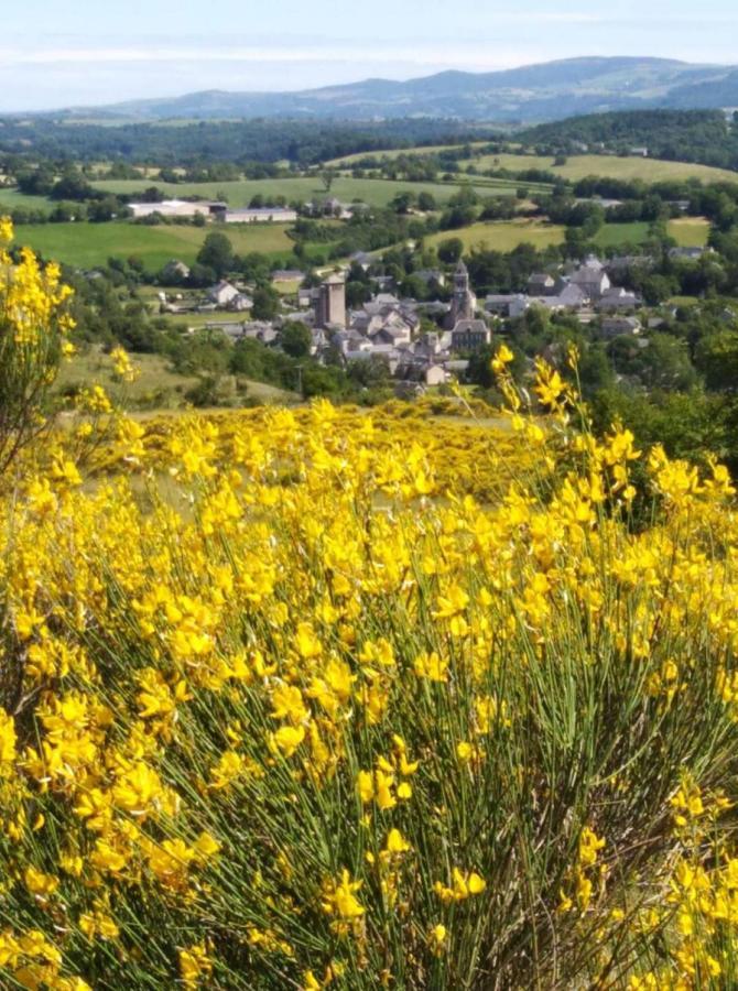 Le Gite De La Vieille Eglise De Coussergues Kültér fotó